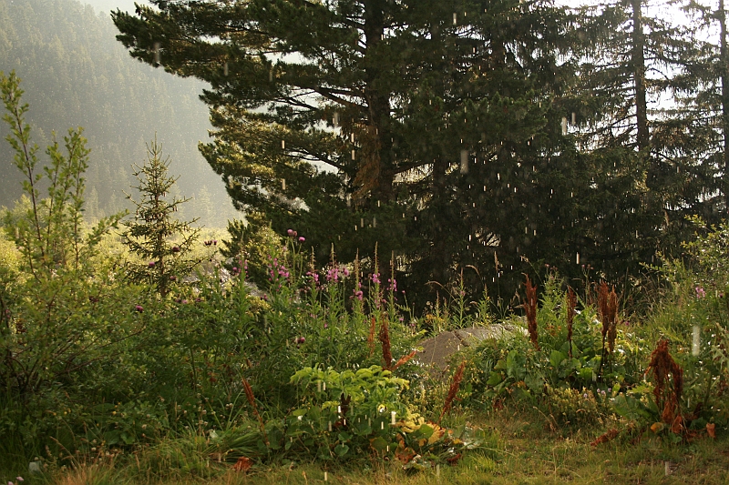 Bulgaria 2008 349